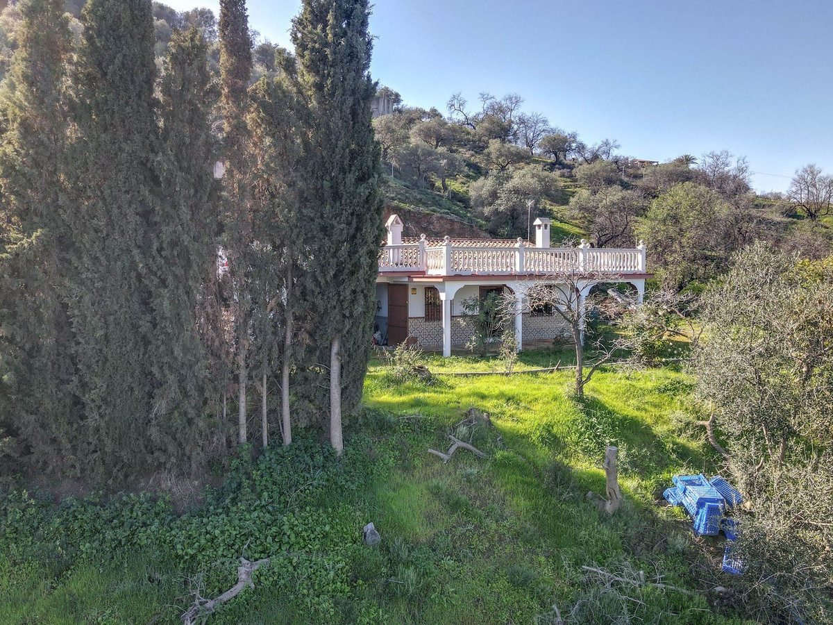 Finca - Cortijo in Guaro-31