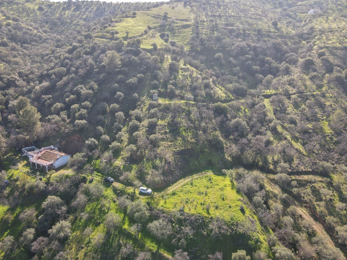 Finca - Cortijo in Guaro-45