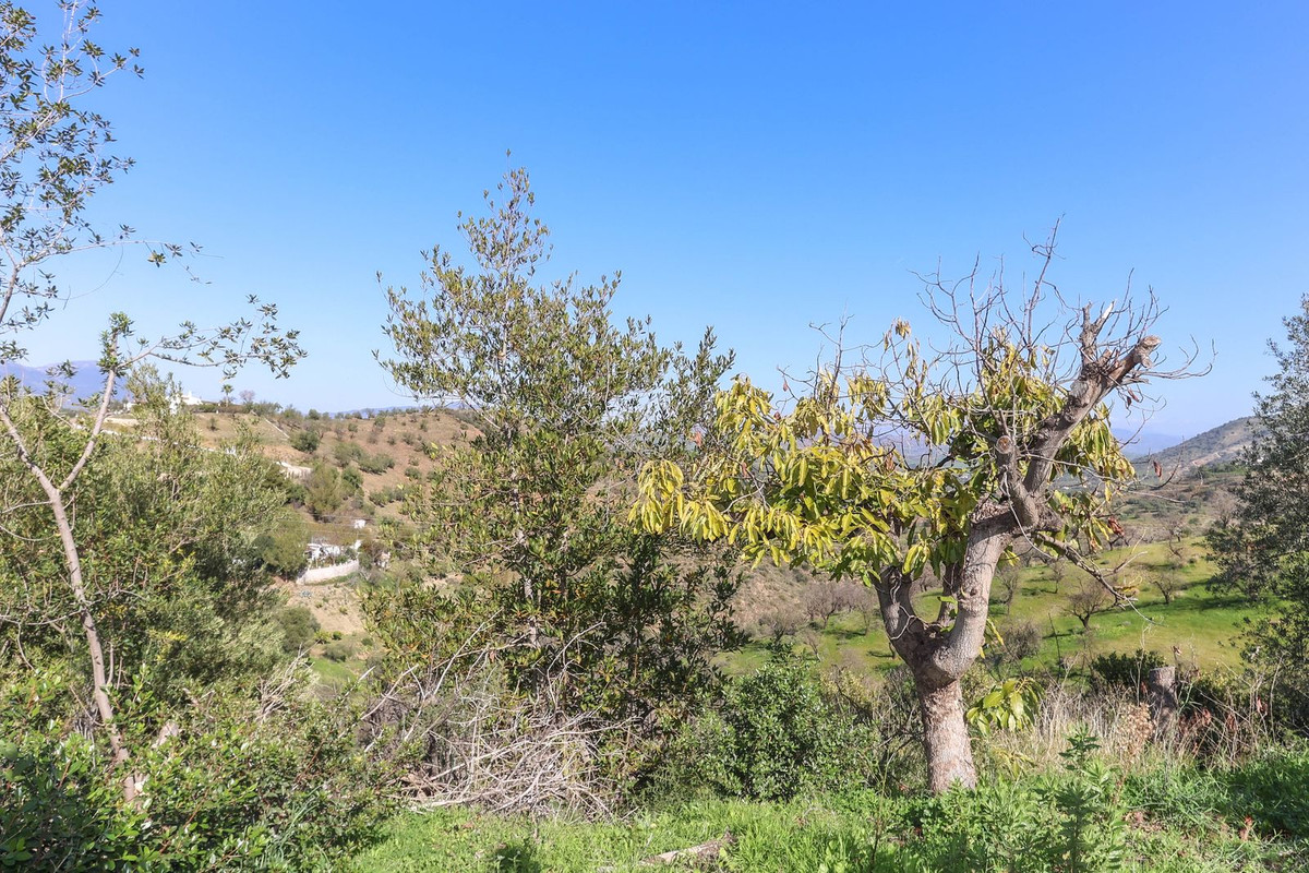 Finca - Cortijo in Guaro-46