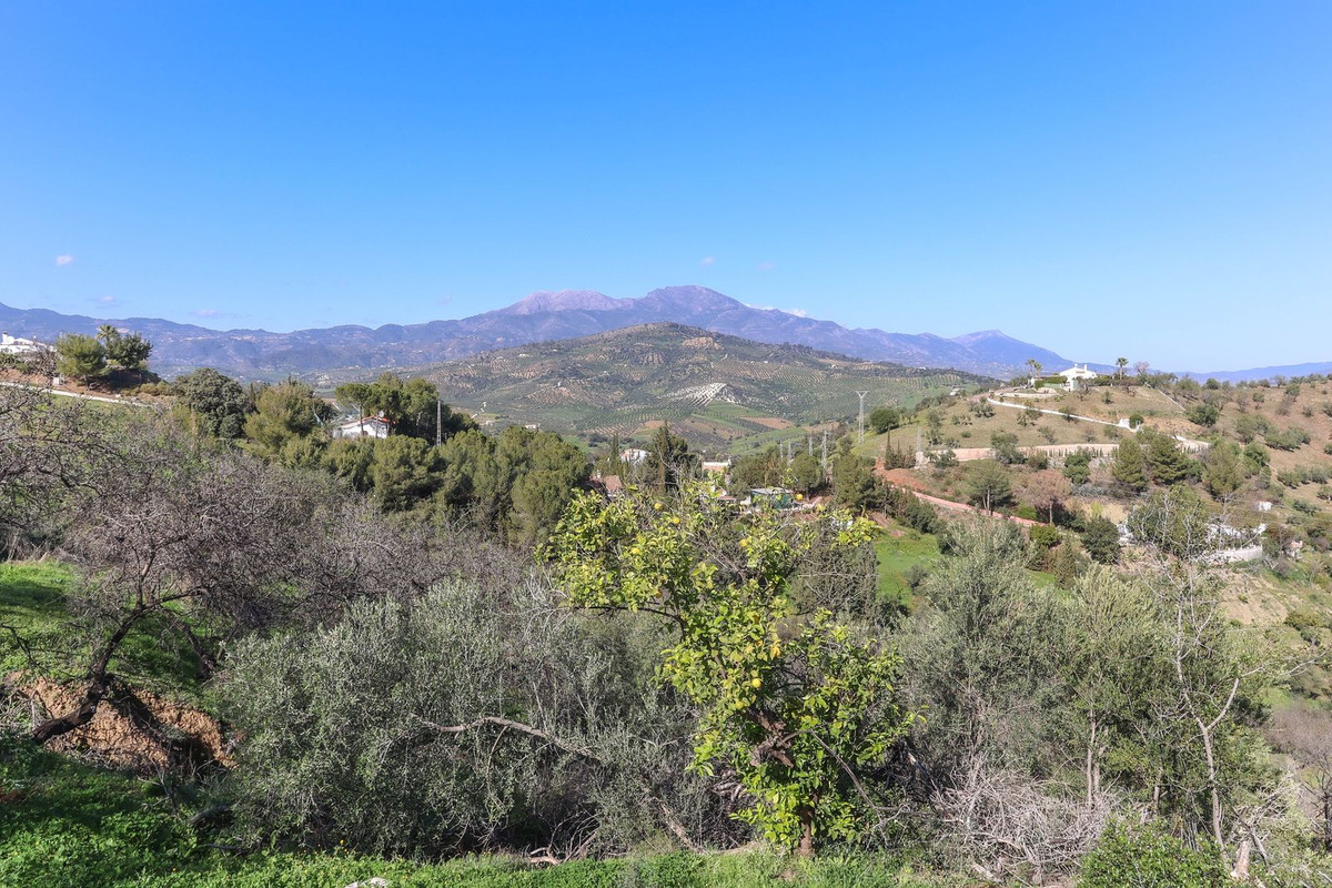 Finca - Cortijo in Guaro-48