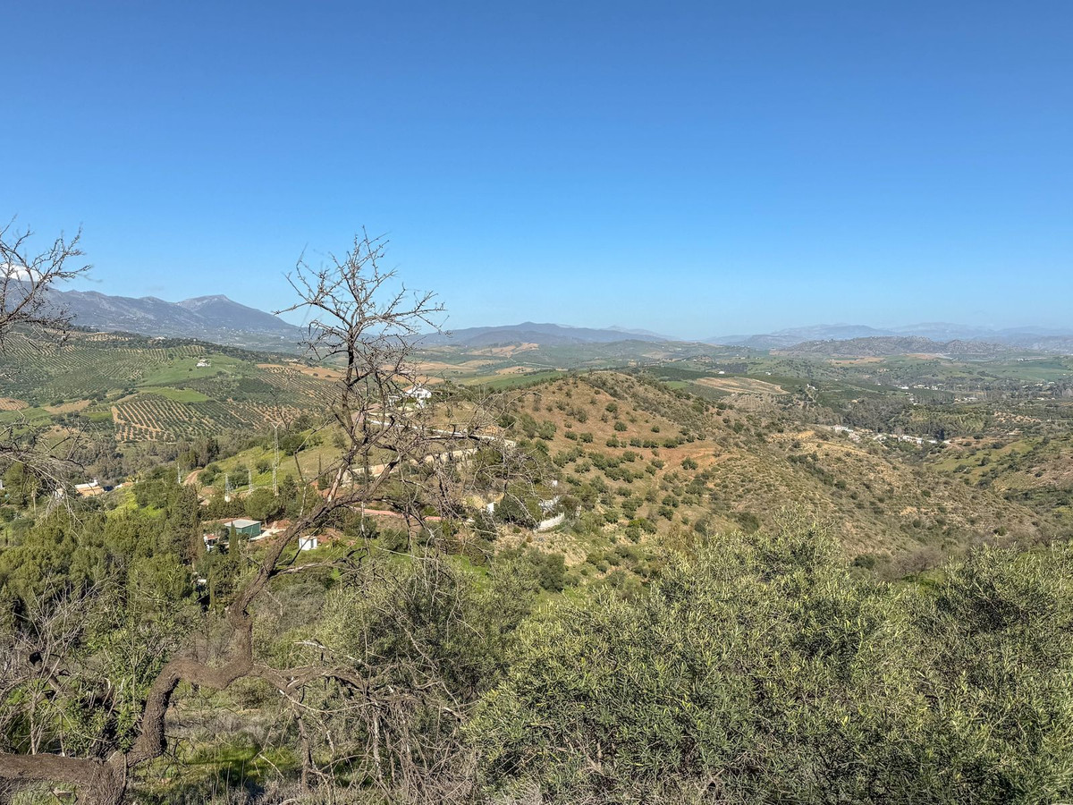 Finca - Cortijo in Guaro-50