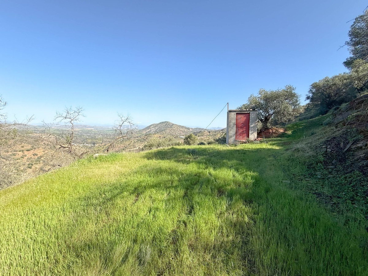Finca - Cortijo in Guaro-51