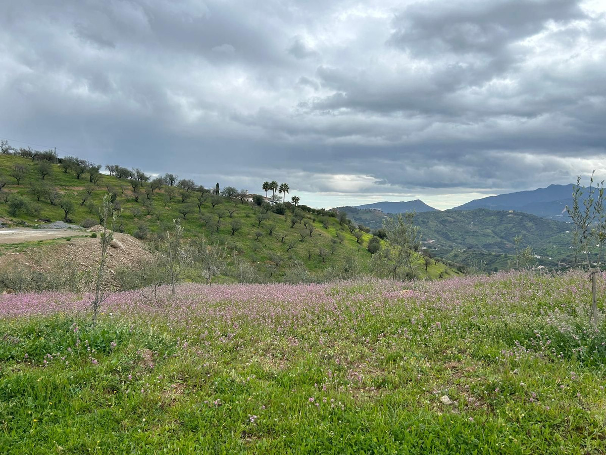 Finca - Cortijo in Guaro-1