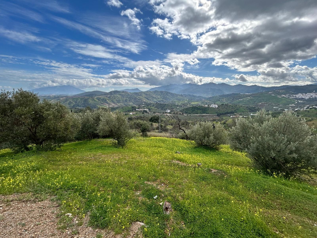 Finca - Cortijo in Guaro-22