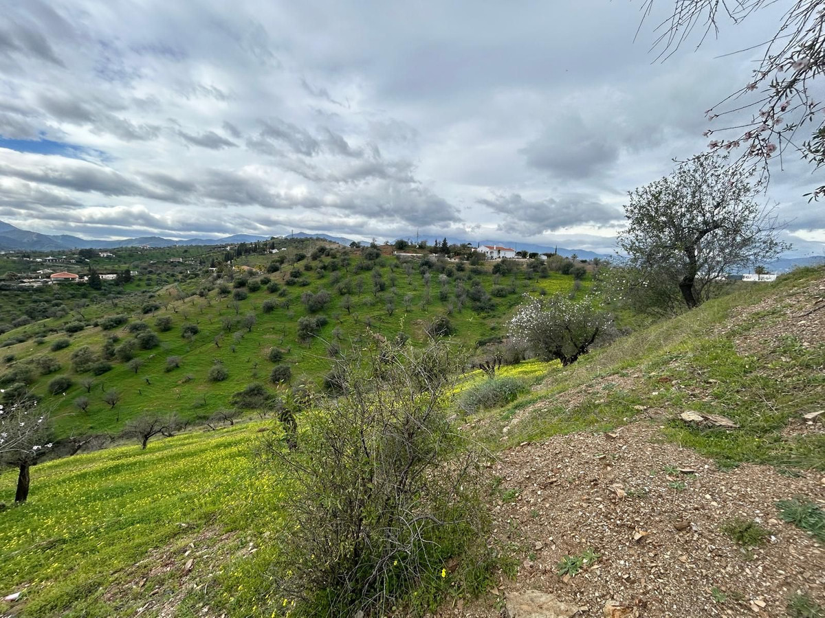 Finca - Cortijo in Guaro-23