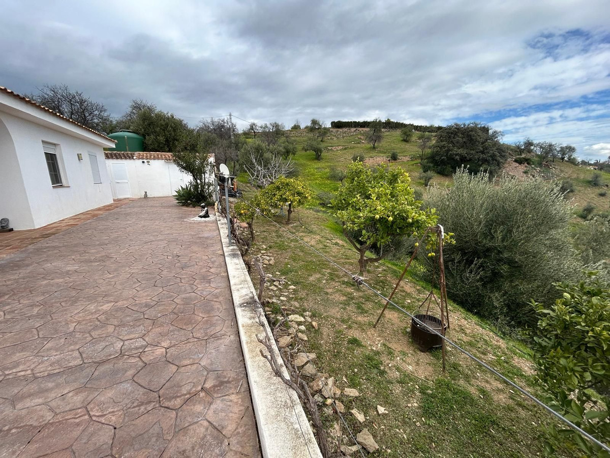 Finca - Cortijo in Guaro-35