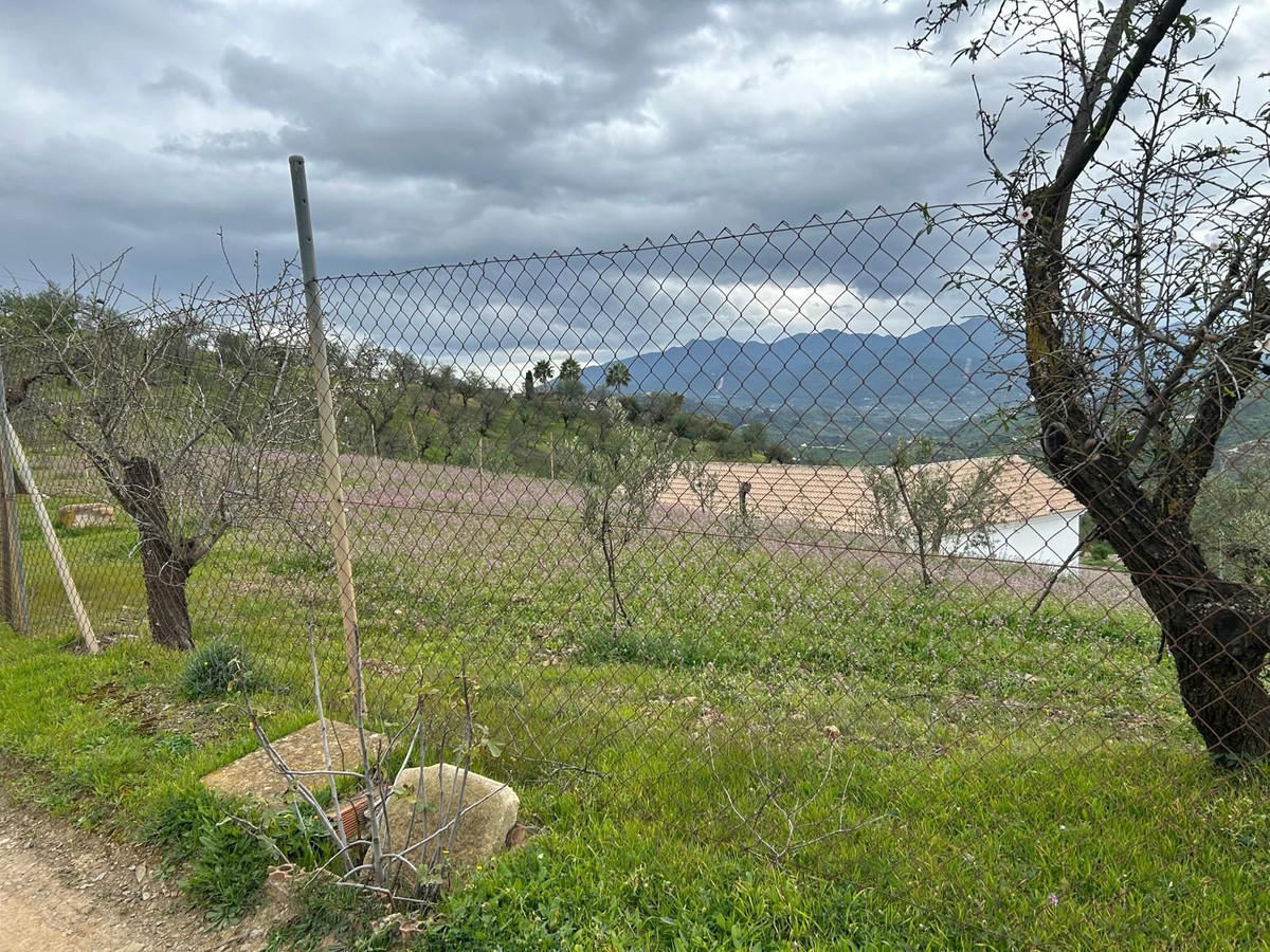 Finca - Cortijo in Guaro-4