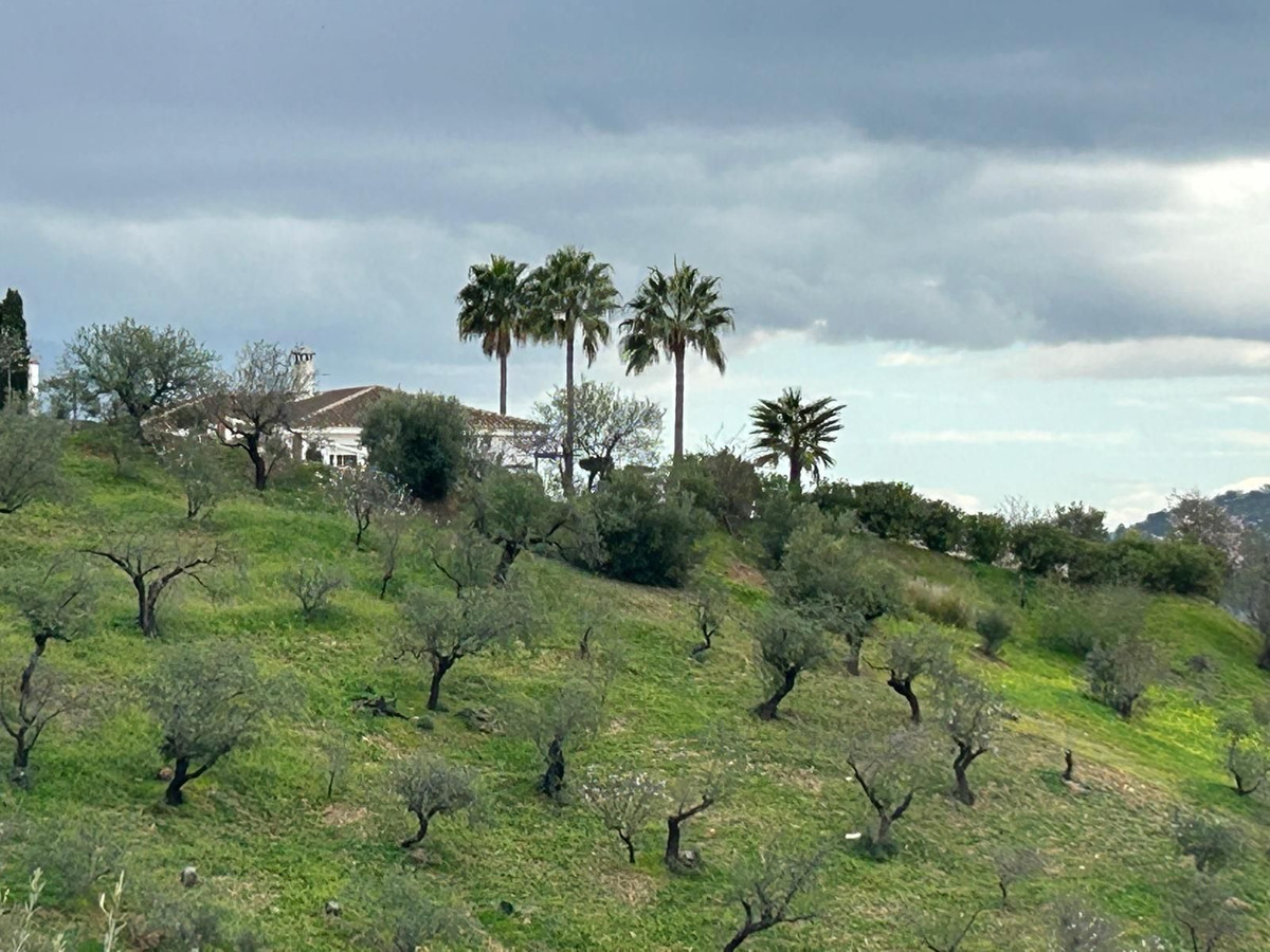 Finca - Cortijo in Guaro-6