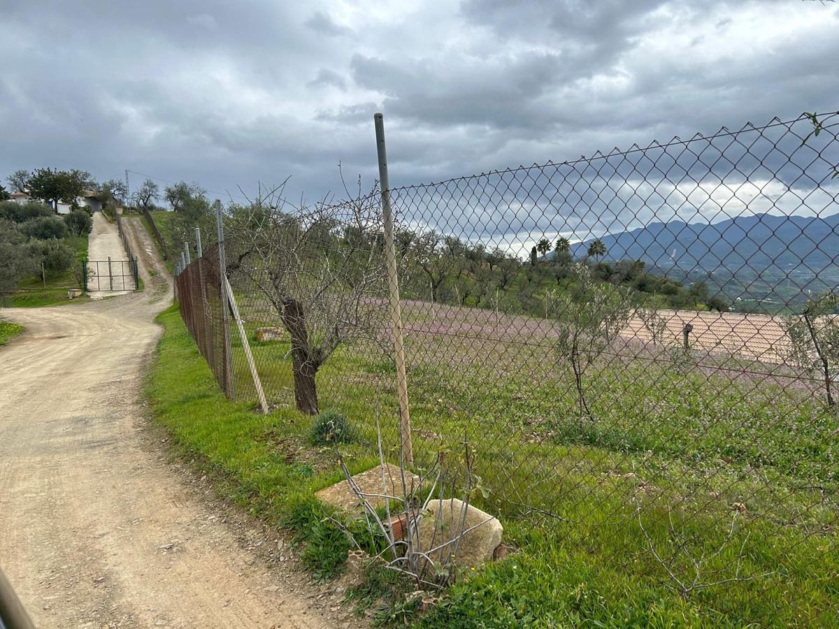 Finca - Cortijo in Guaro-8