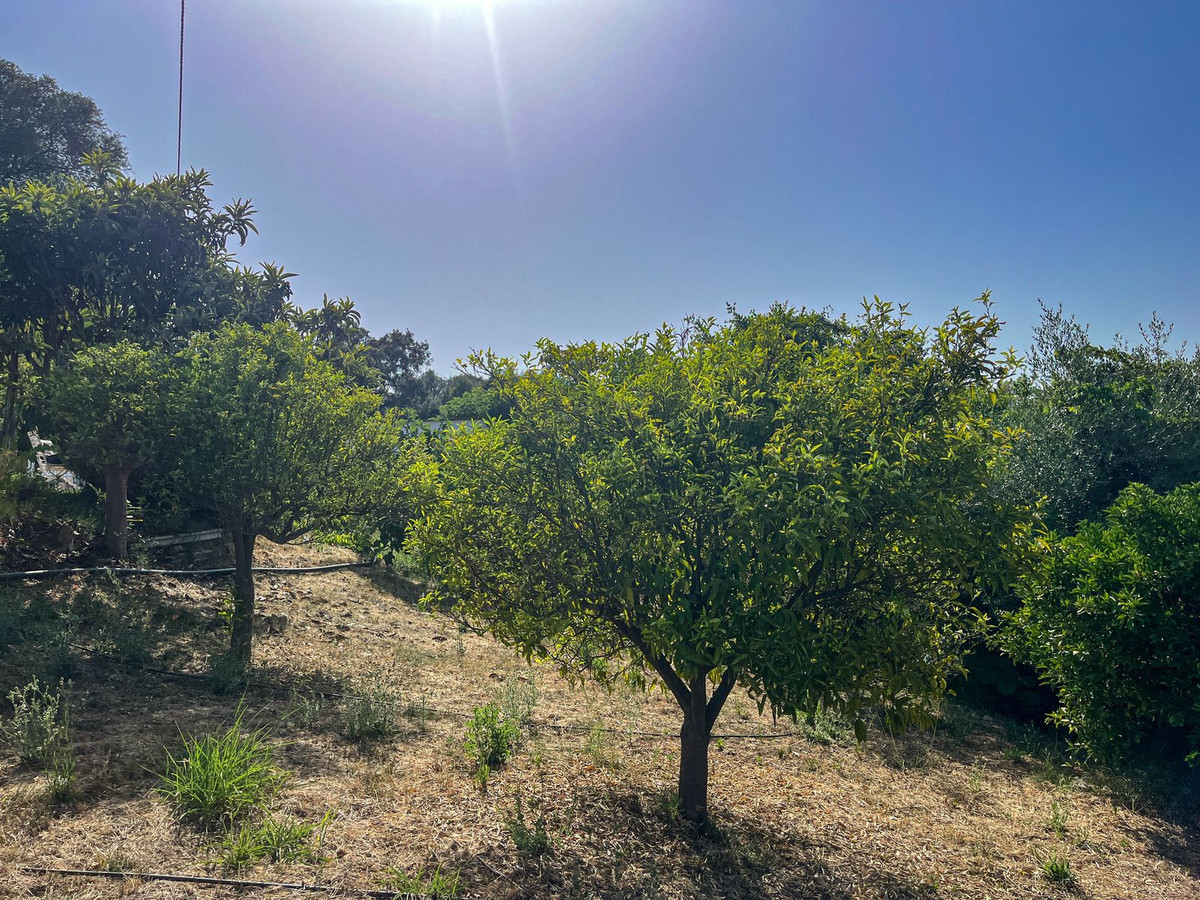 Finca - Cortijo te koop in Guaro | 4 slaapkamers H5110768