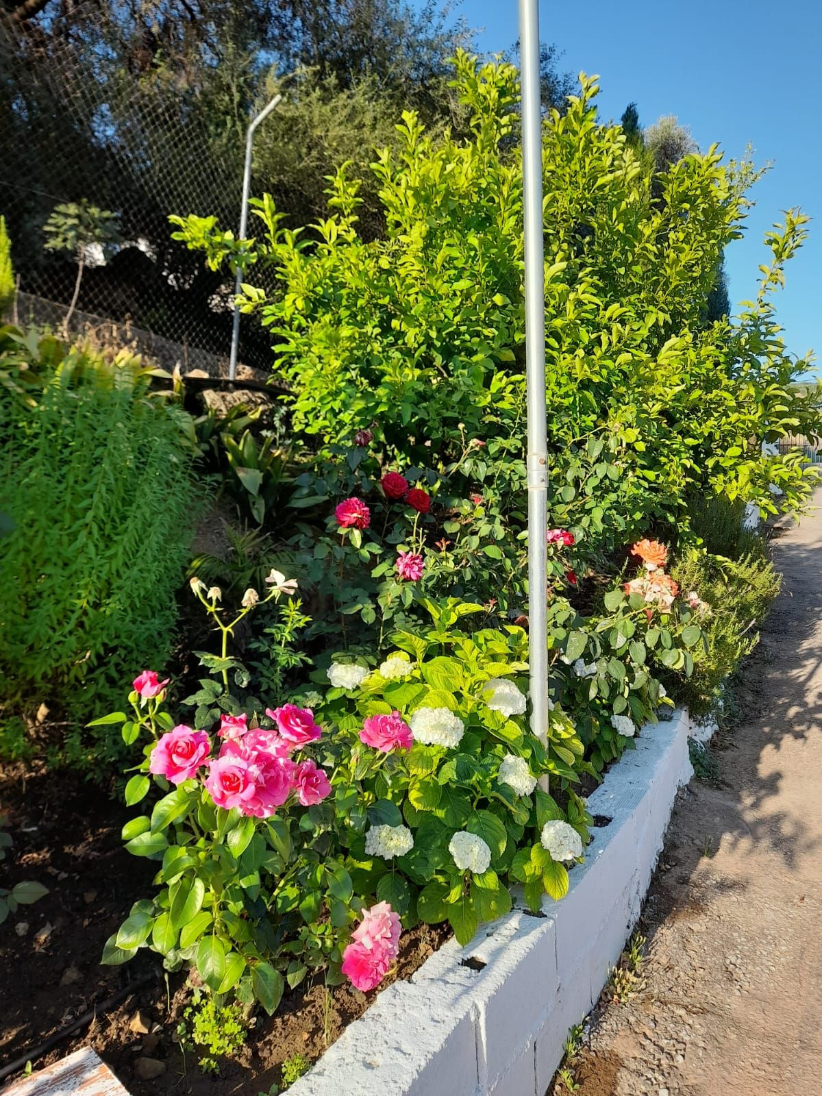 Finca - Cortijo te koop in Guaro | 4 slaapkamers H5245231