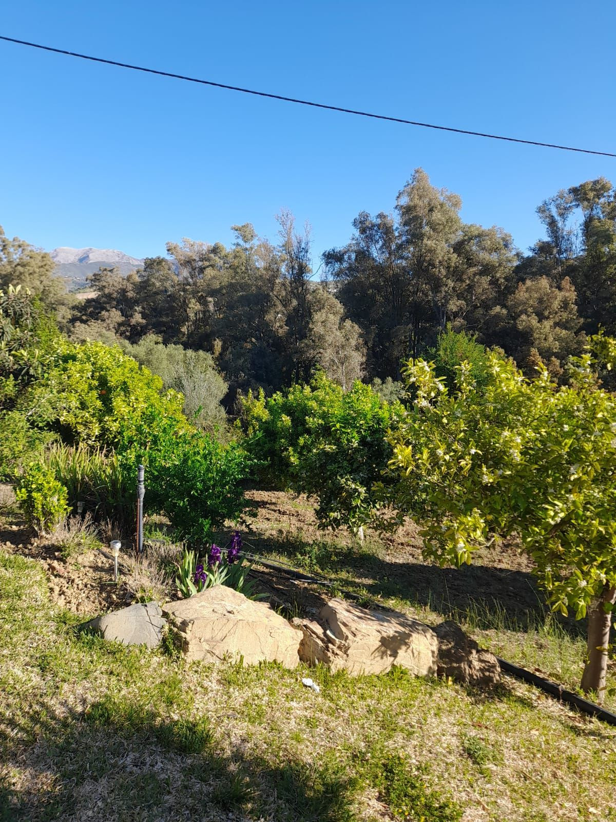 Finca - Cortijo te koop in Guaro | 4 slaapkamers H5245231