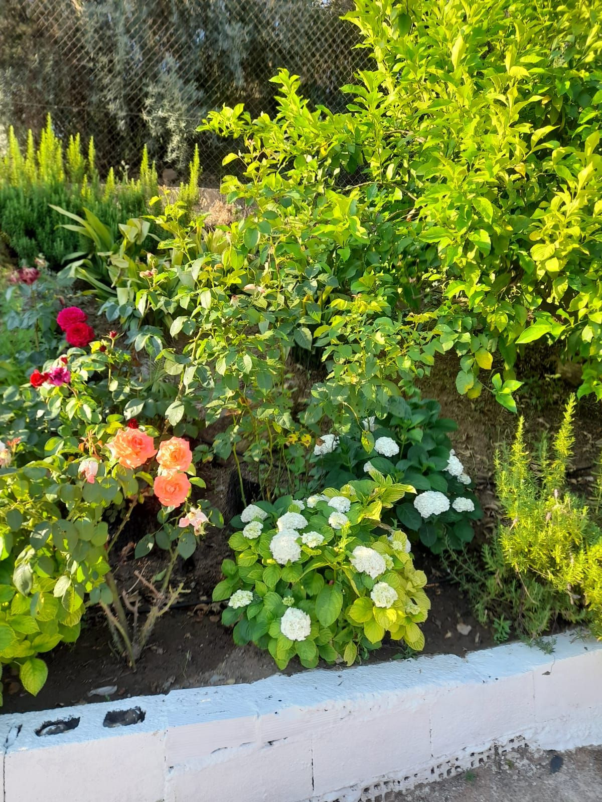 Finca - Cortijo te koop in Guaro | 4 slaapkamers H5245231