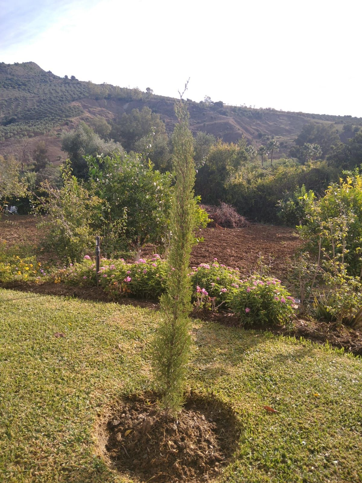 Finca - Cortijo te koop in Guaro | 4 slaapkamers H5245231