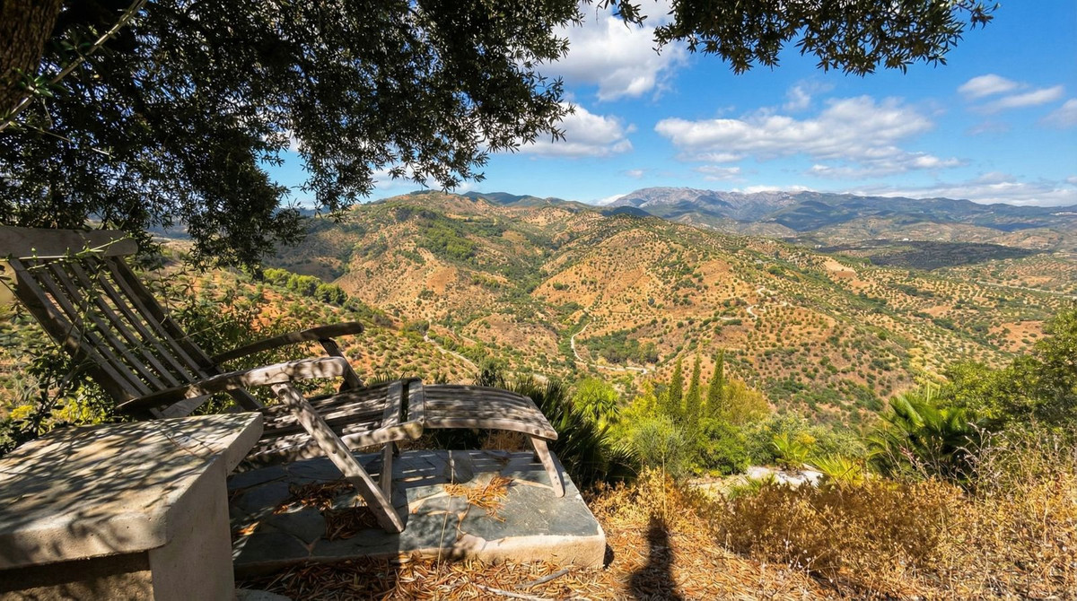 Property main view 49