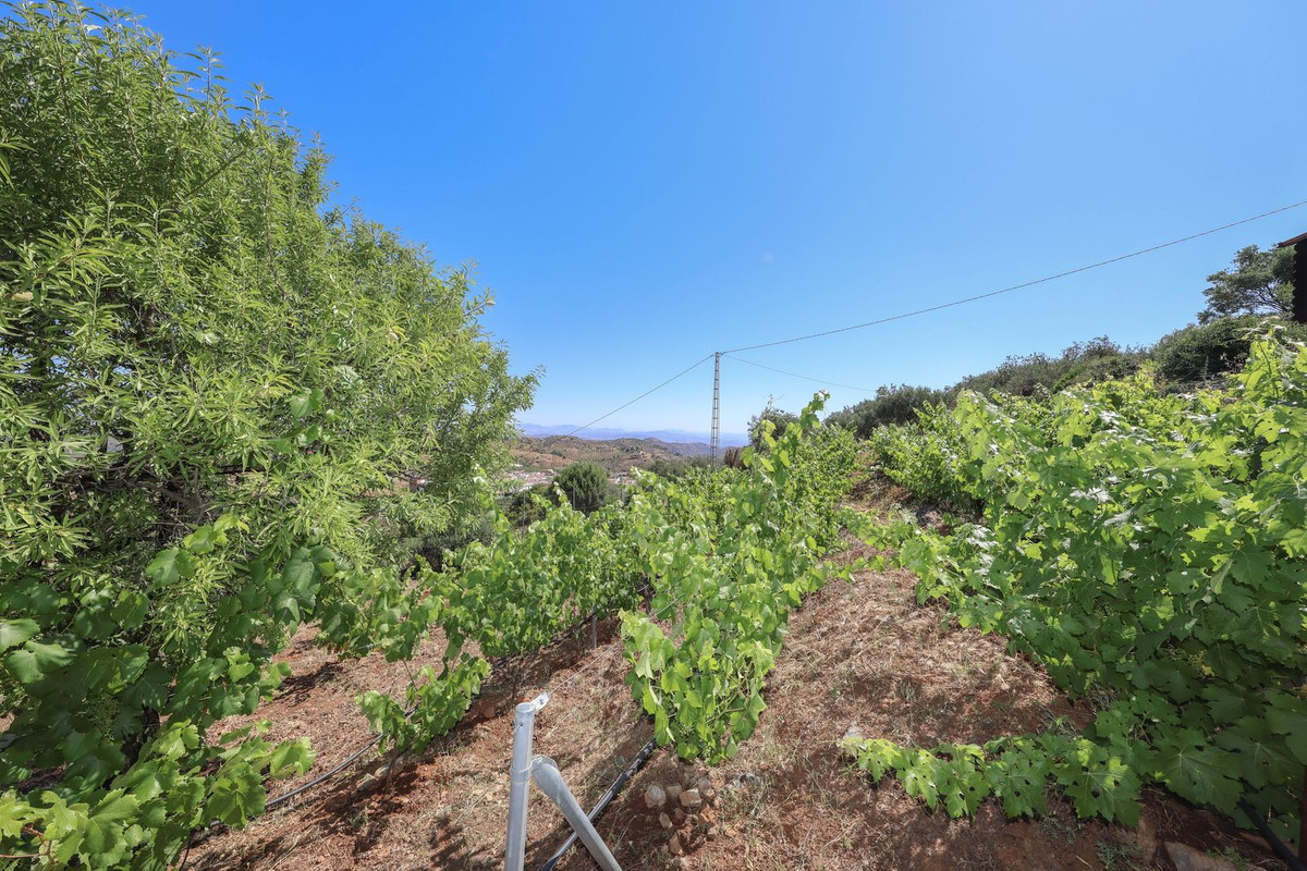 Property main view 63