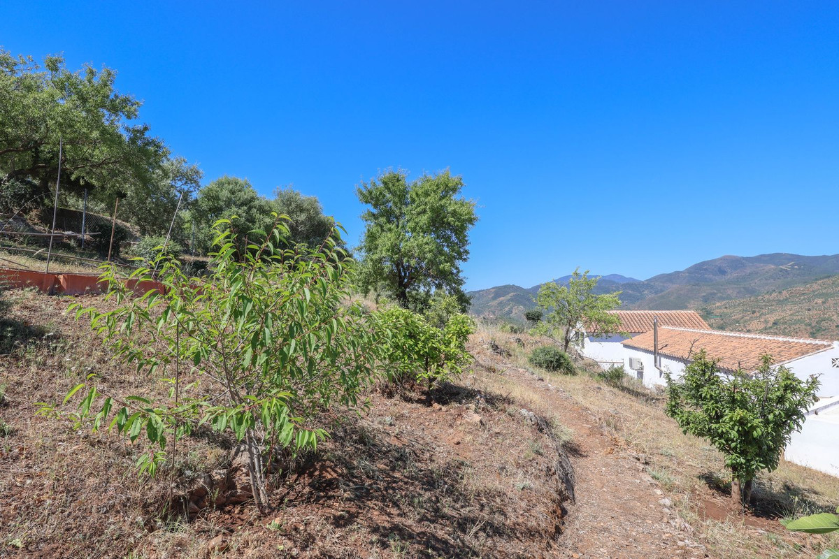 Property main view 74
