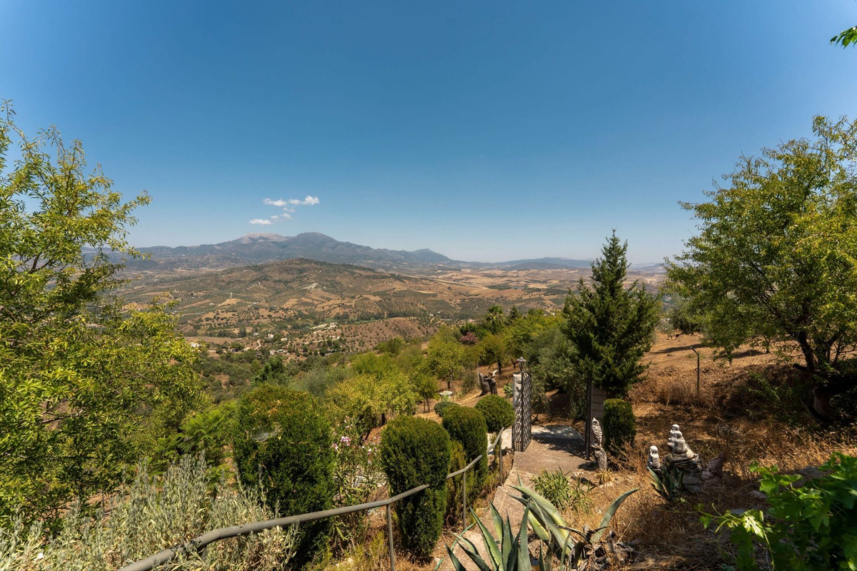 Property main view 44
