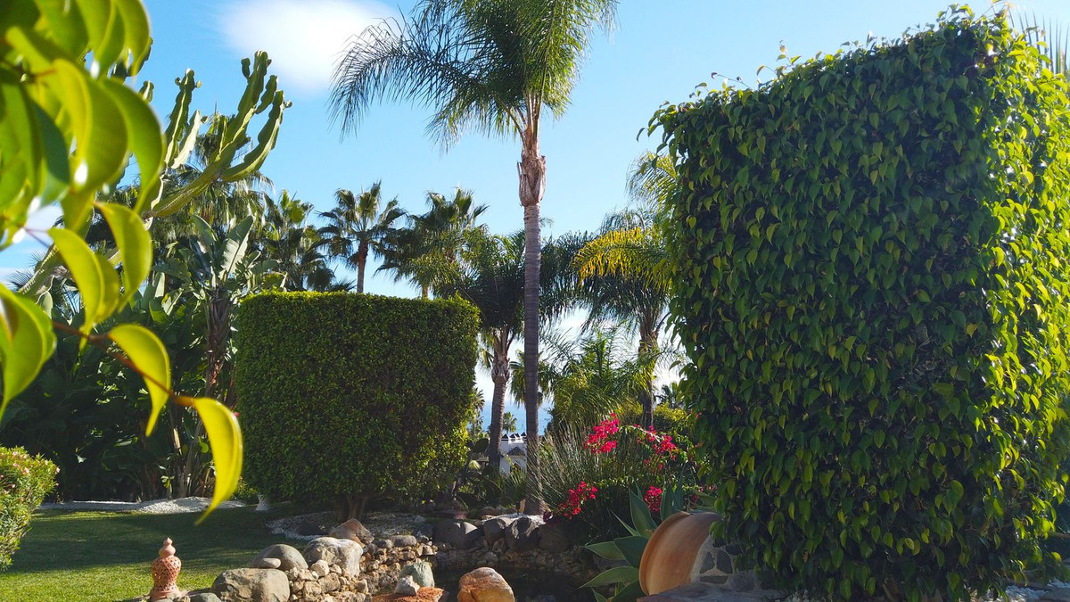 Property main view 50