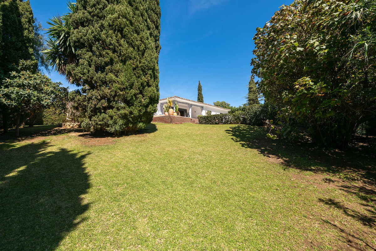 Property main view 41