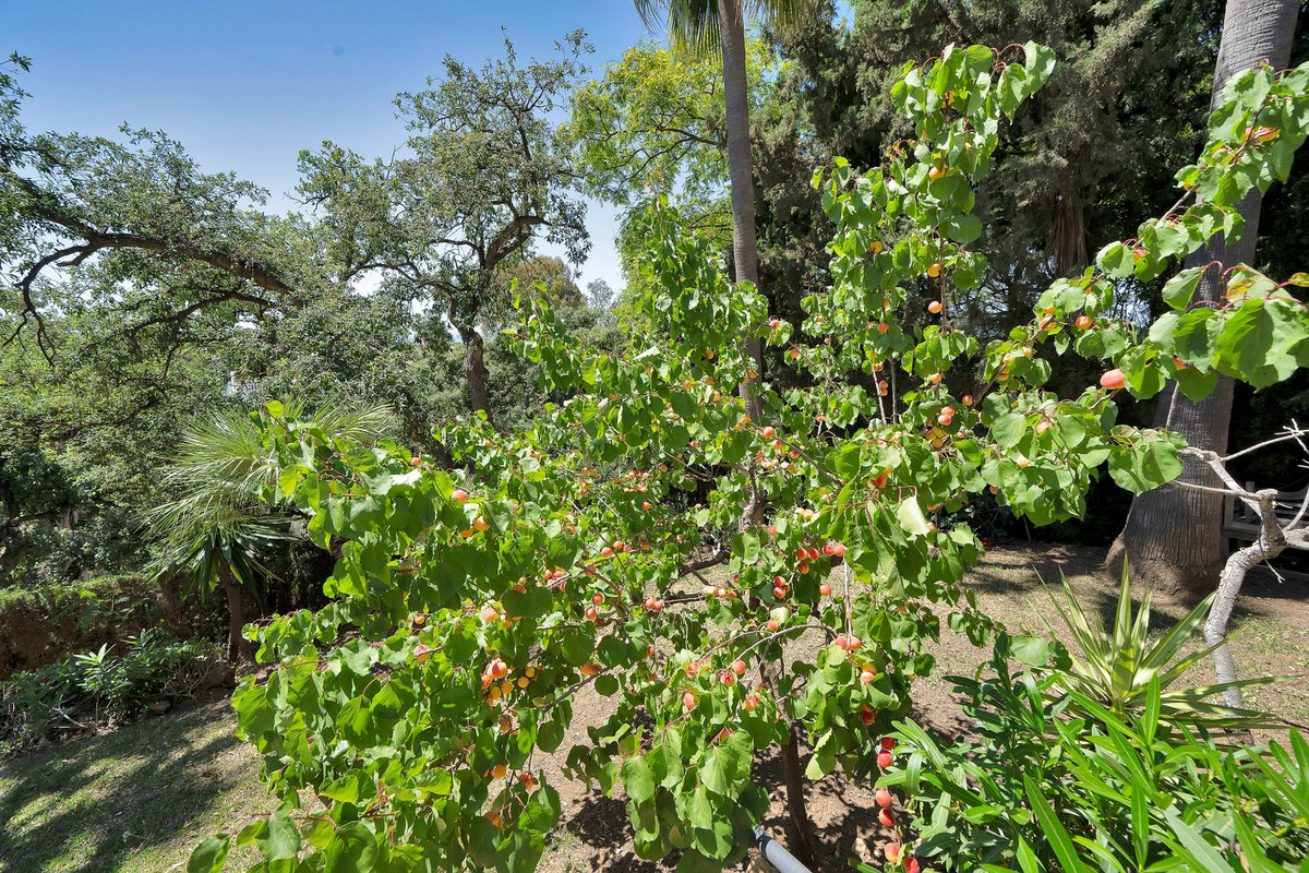 Huis te koop in Hacienda Las Chapas | 6 slaapkamers H5390014