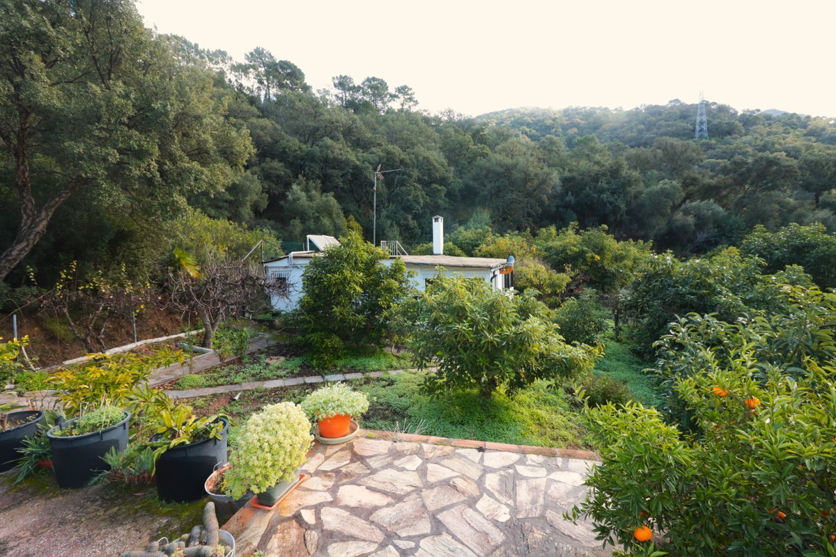 Finca - Cortijo in Istán-1
