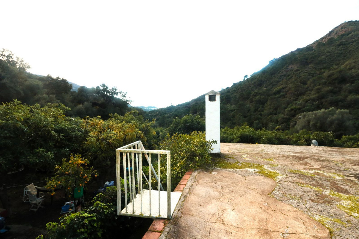 Finca - Cortijo in Istán-15