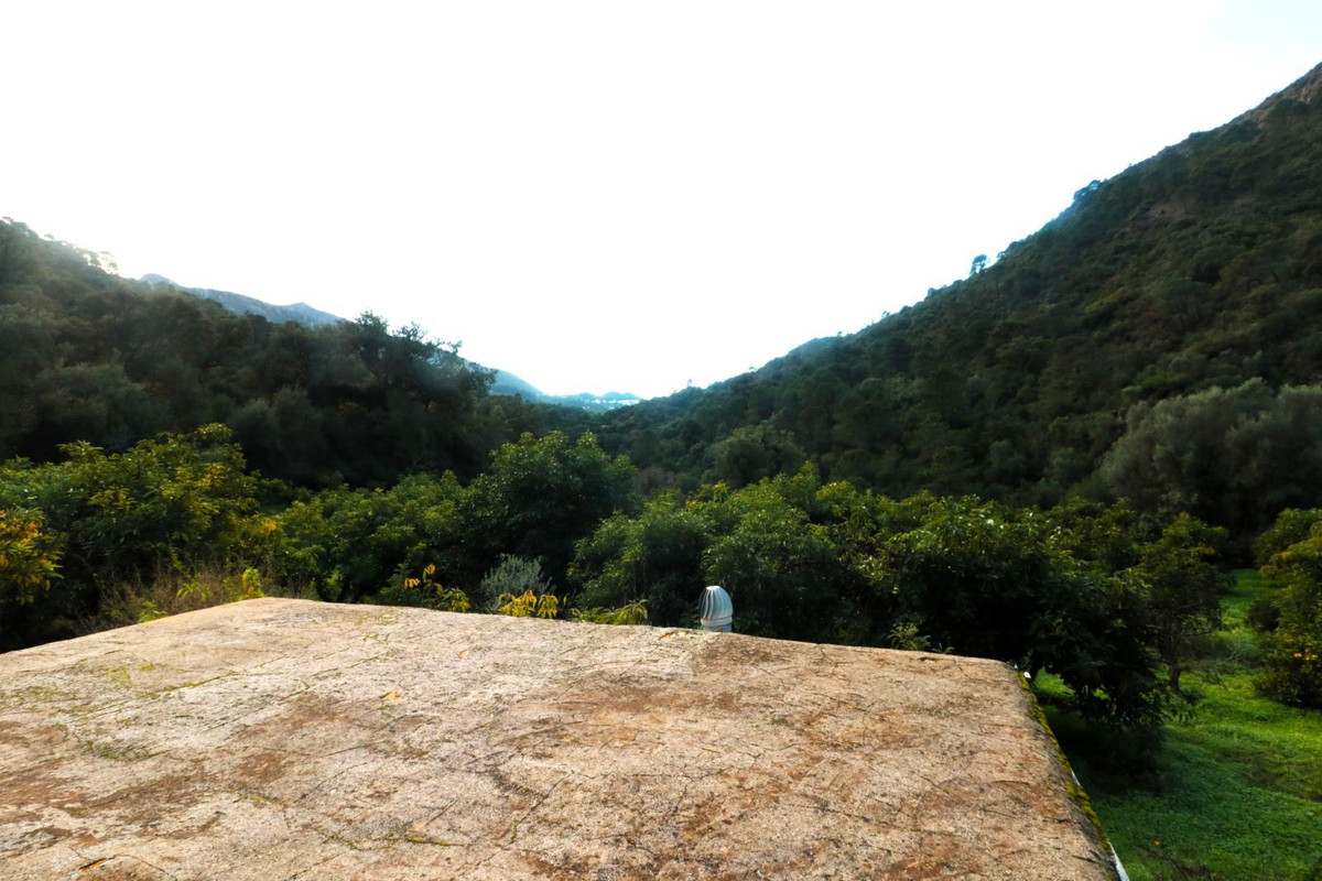 Finca - Cortijo in Istán-16