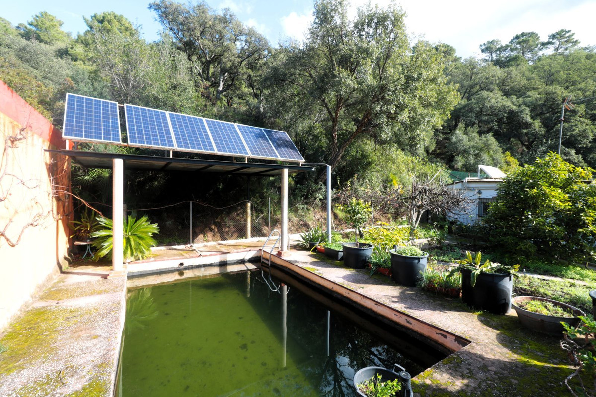 Finca - Cortijo in Istán-22