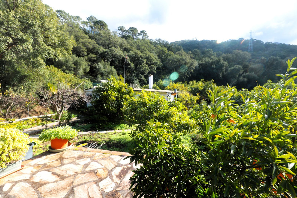 Finca - Cortijo in Istán-23
