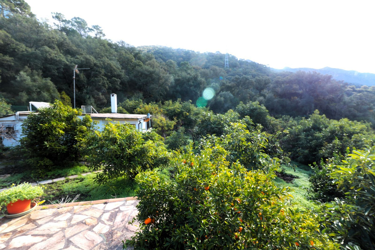 Finca - Cortijo in Istán-26