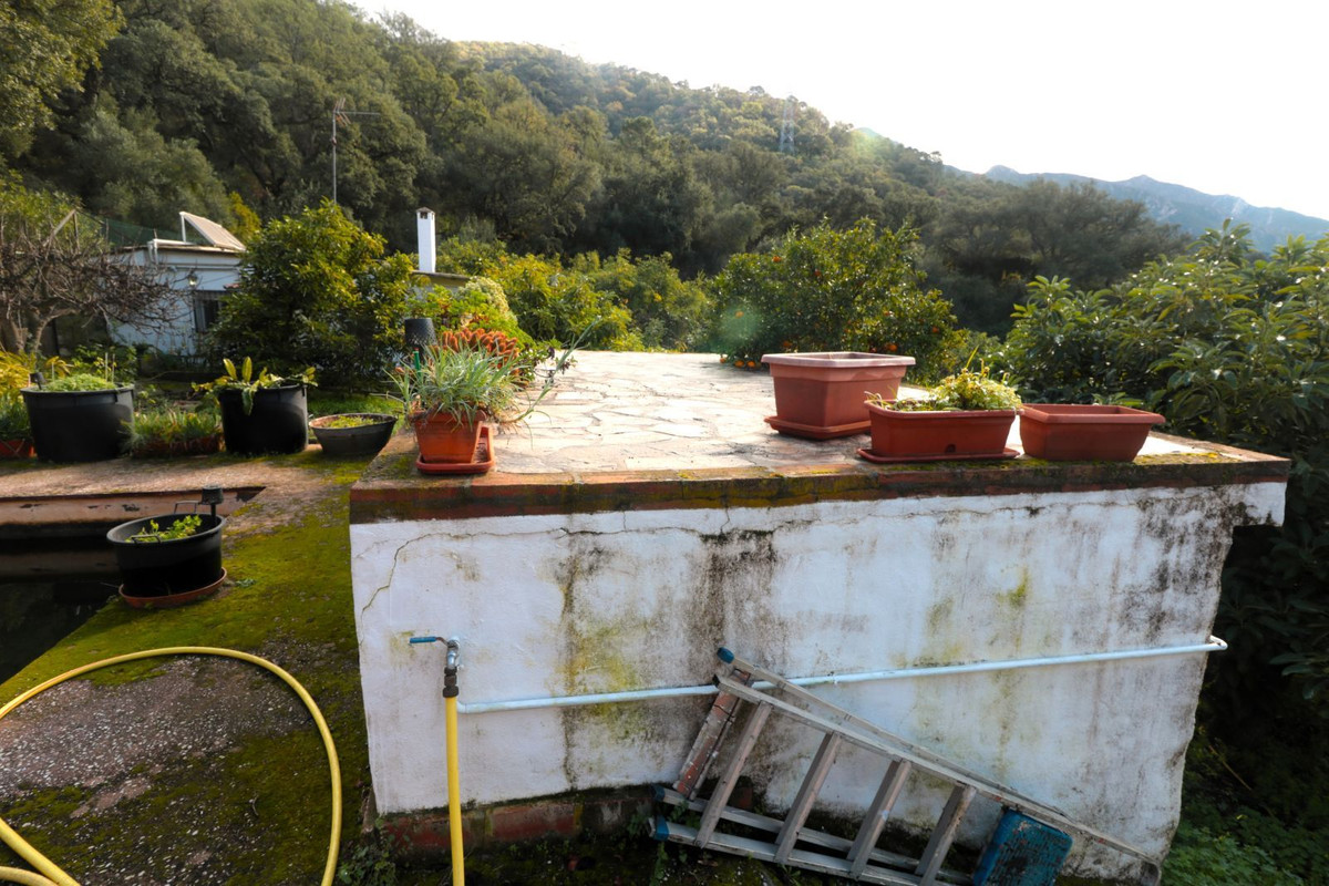 Finca - Cortijo in Istán-30