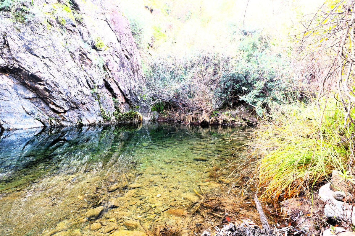 Finca - Cortijo in Istán-33