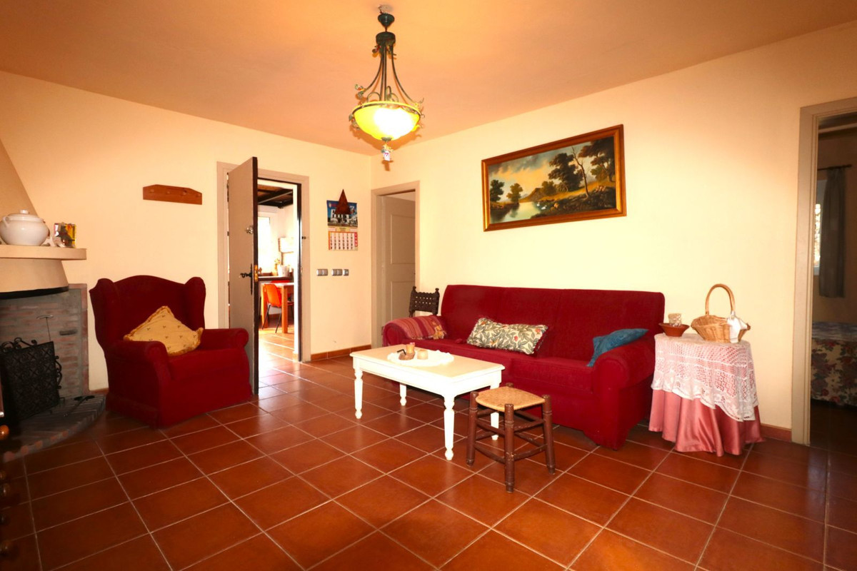 Finca - Cortijo in Istán-9