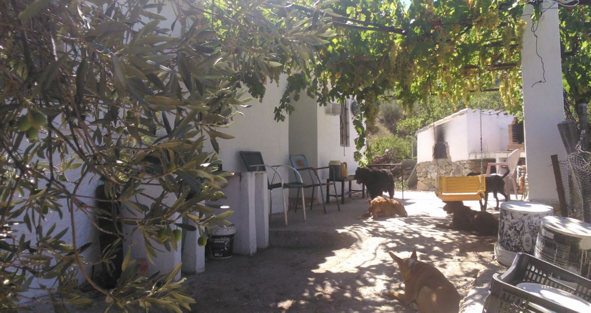 Finca - Cortijo te koop in Istán | 3 slaapkamers H5048515