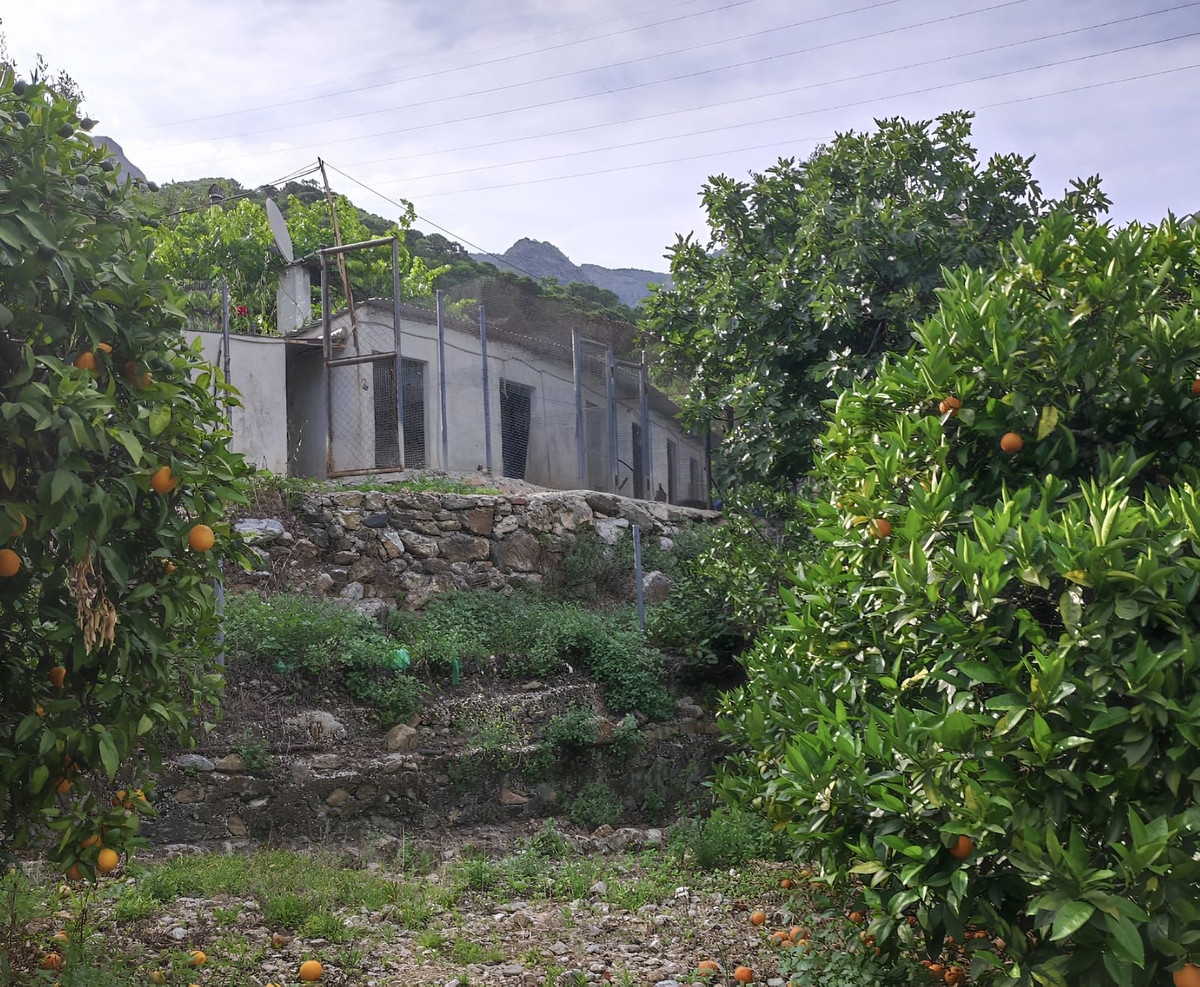 Finca - Cortijo te koop in Istán | 3 slaapkamers H5048515