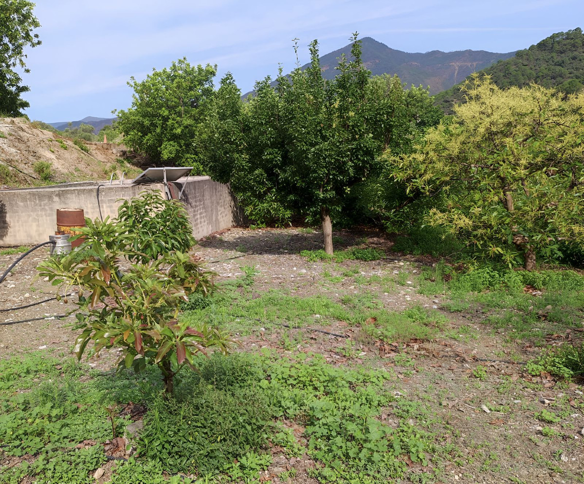 Finca - Cortijo te koop in Istán | 3 slaapkamers H5048515