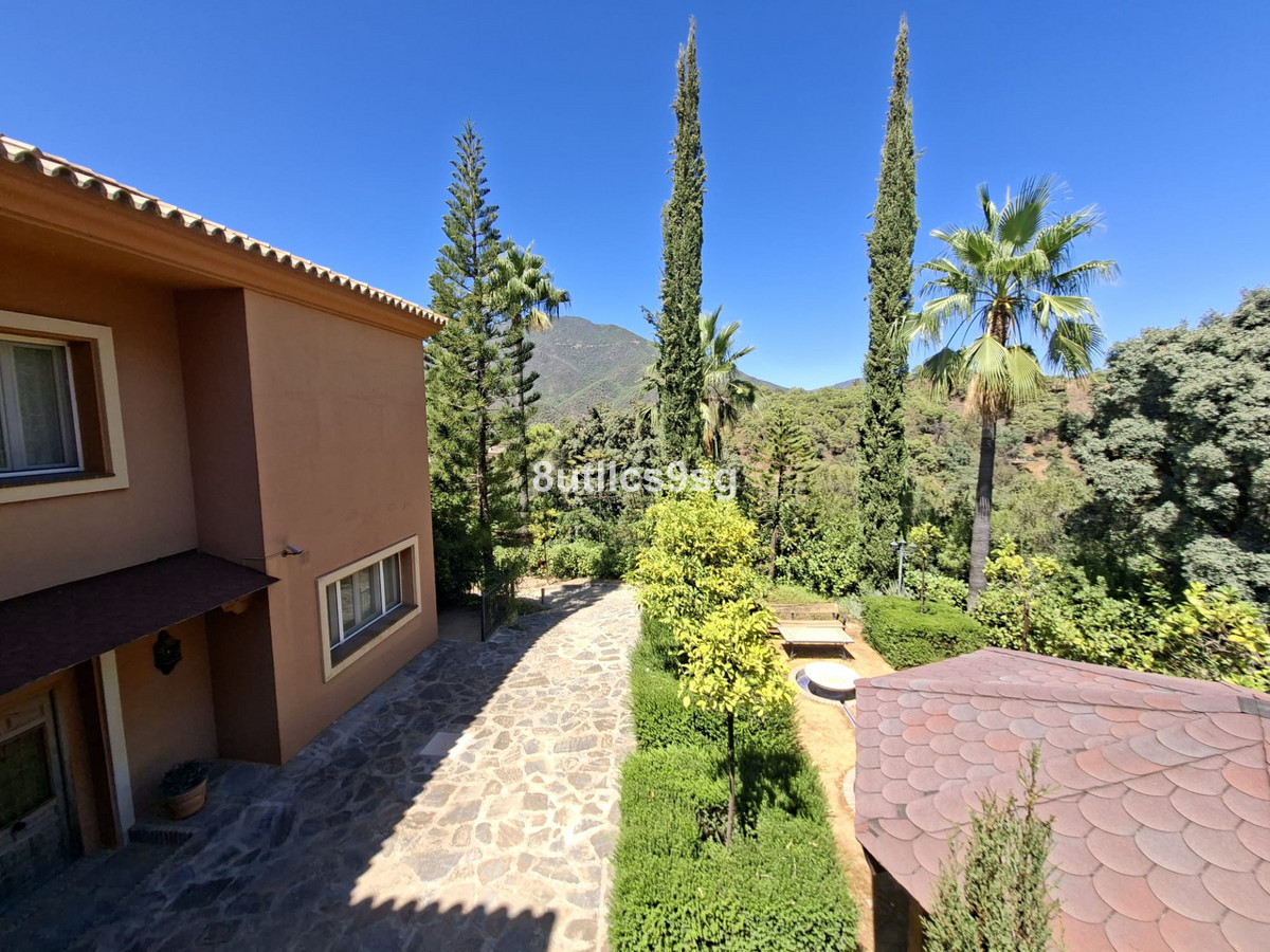 Property main view 41