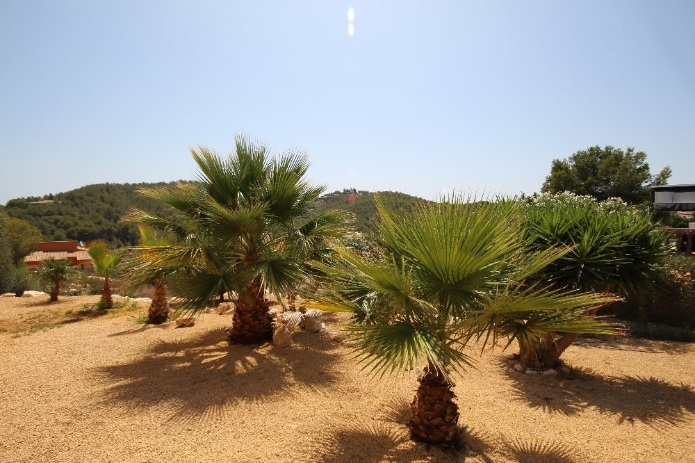 Property main view 4