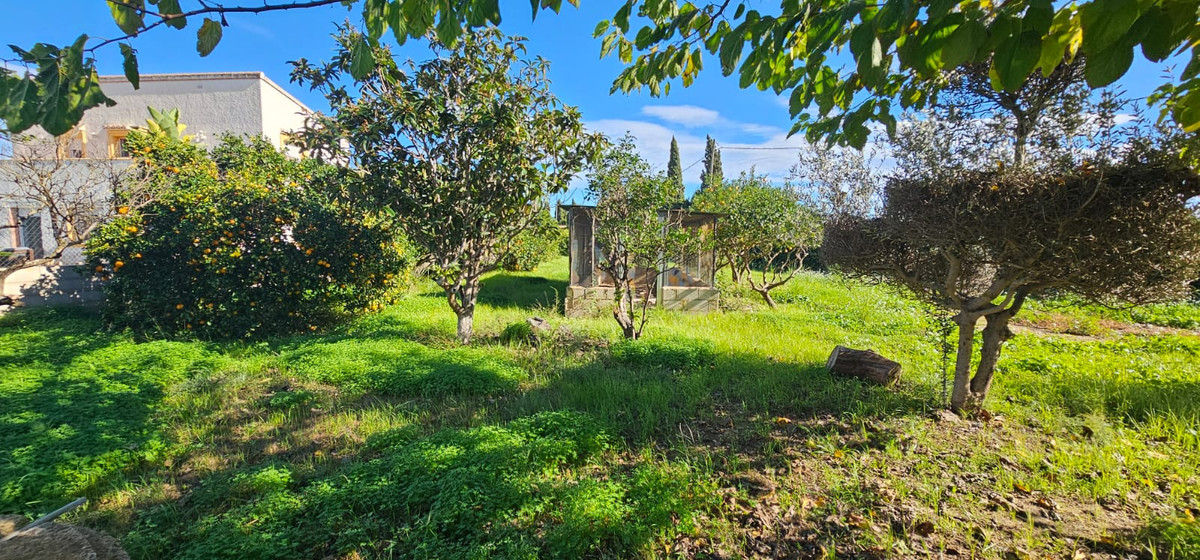 Property main view 24