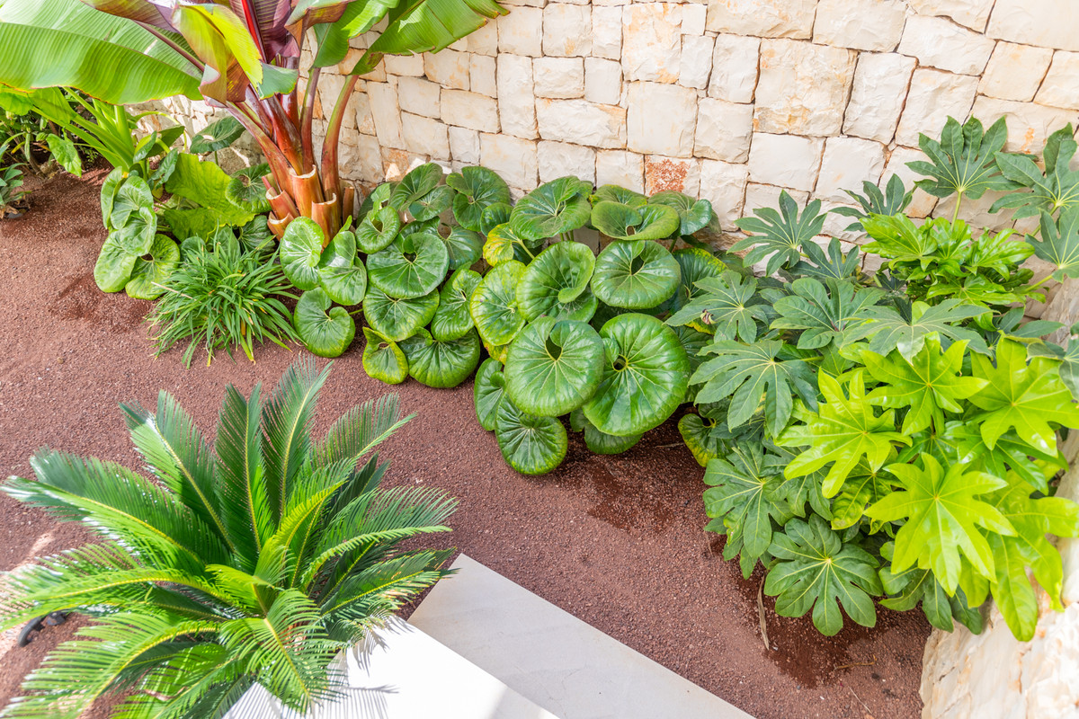 Property main view 16