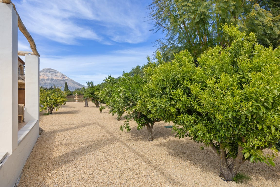 Property main view 6