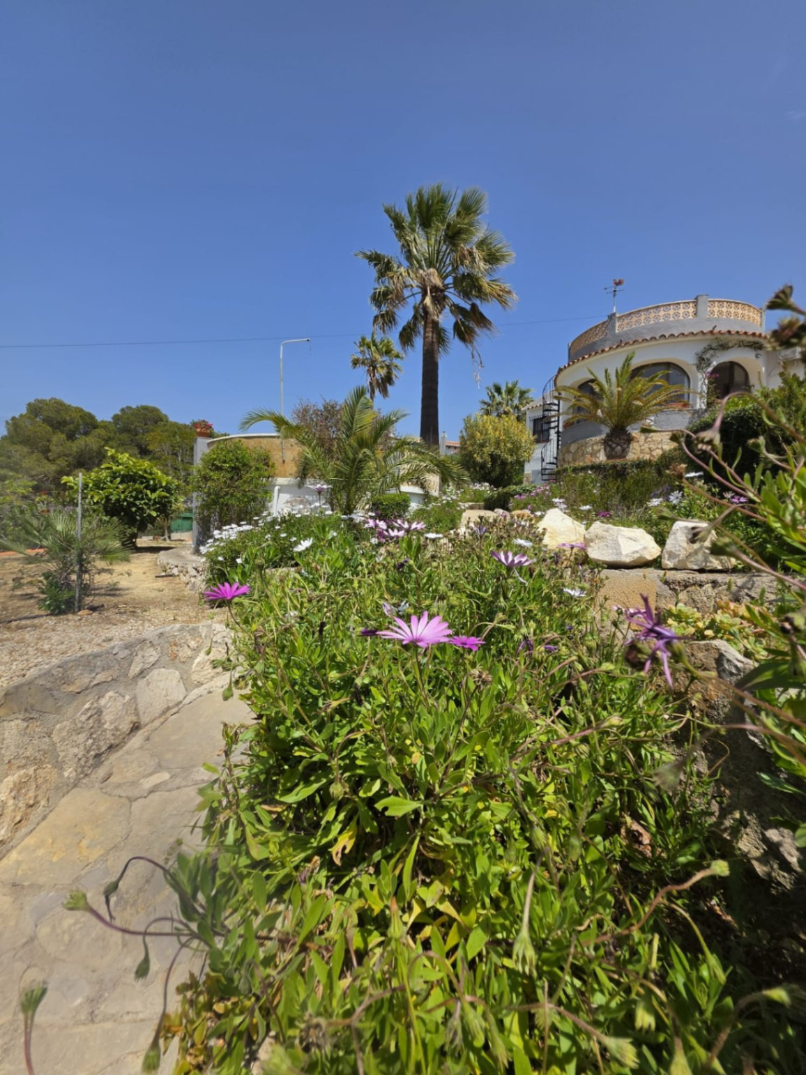 Property main view 34