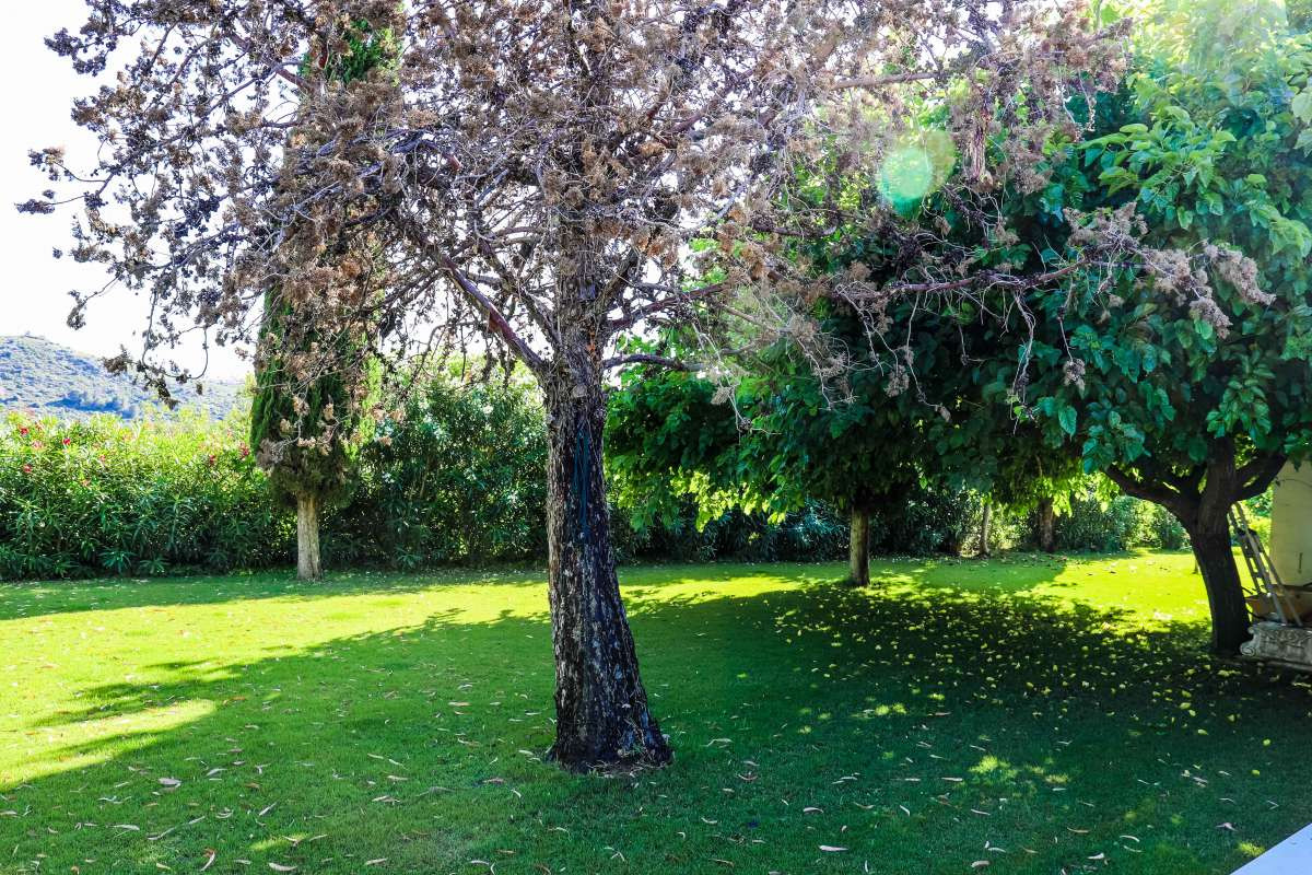 Huis te koop in Jesús Pobre | 5 slaapkamers H5236480