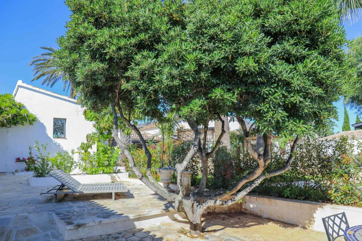 Huis te koop in Jesús Pobre | 5 slaapkamers H5236480