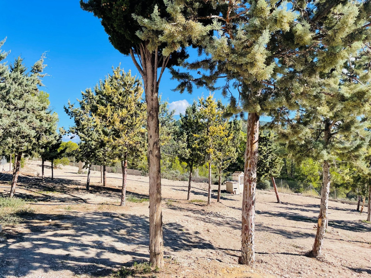 Property main view 6