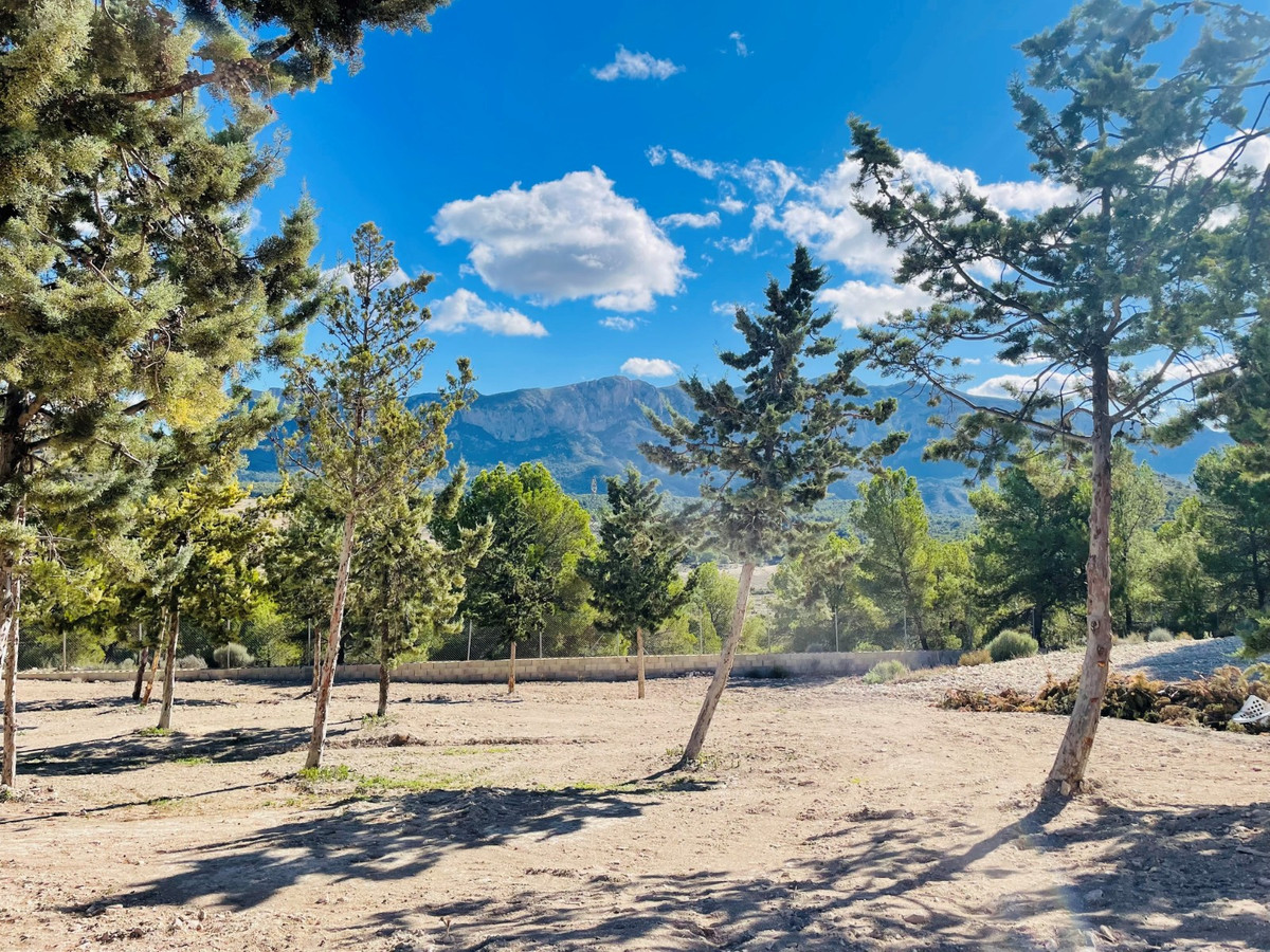 Property main view 7