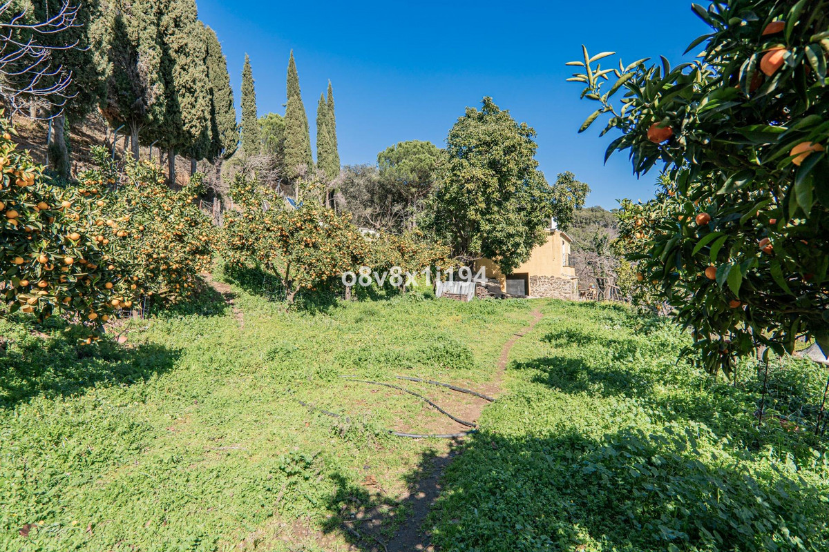 Finca - Cortijo te koop in Jubrique | 5 slaapkamers H4955917
