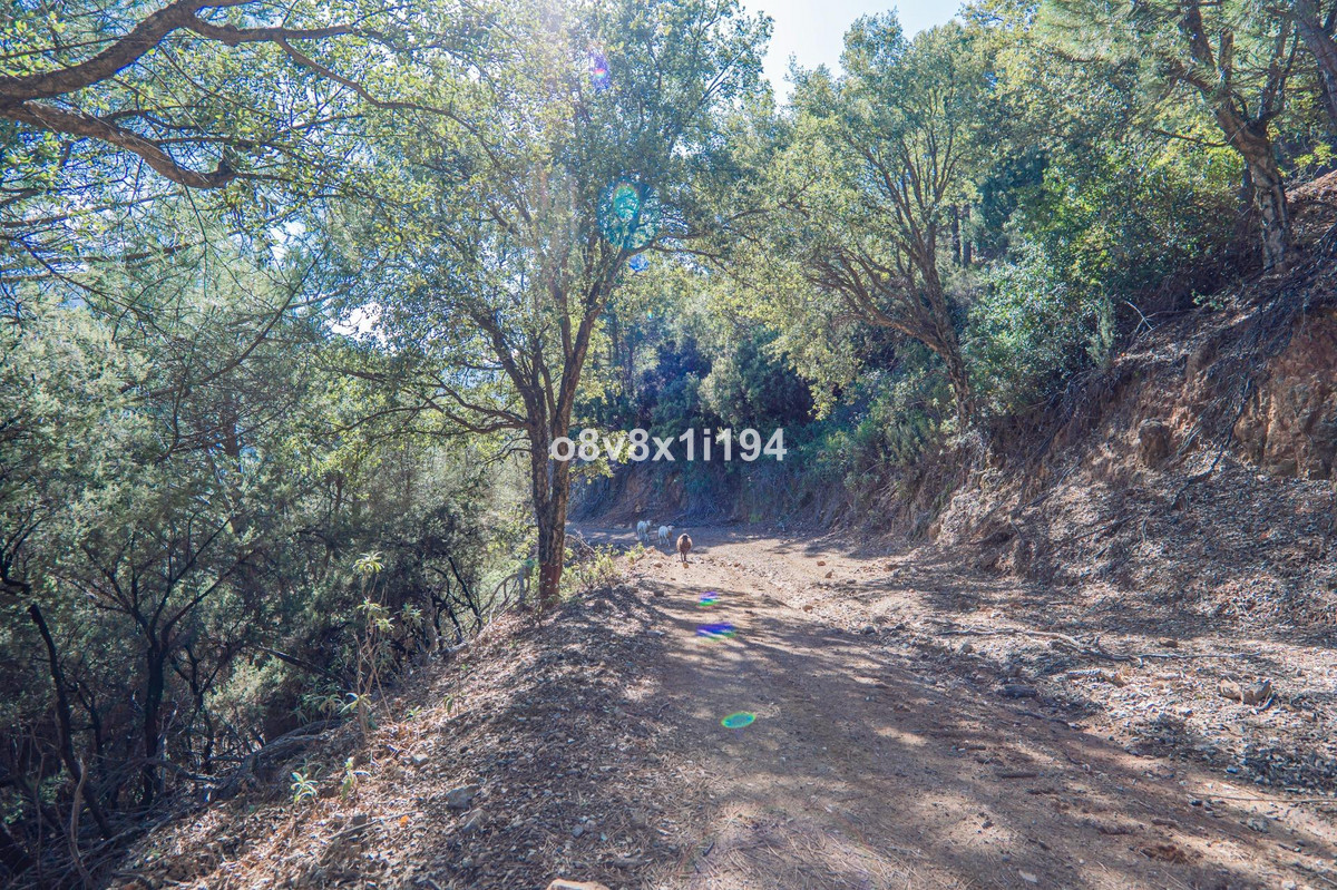 Finca - Cortijo te koop in Jubrique | 5 slaapkamers H4955917