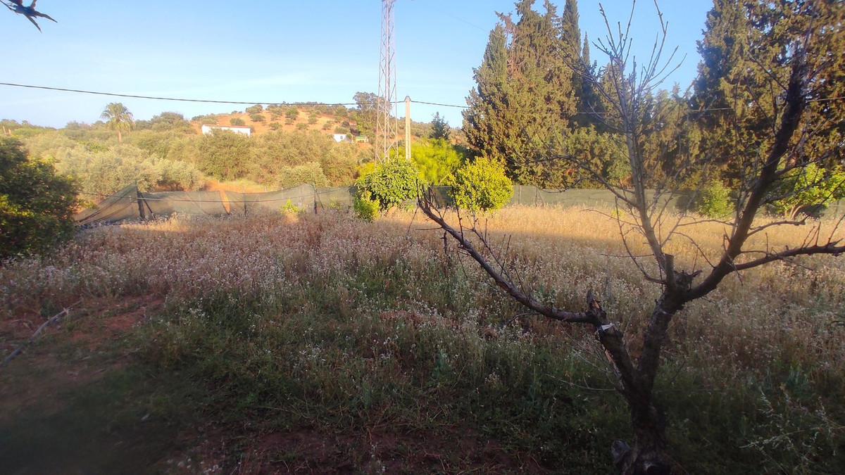 Property main view 21